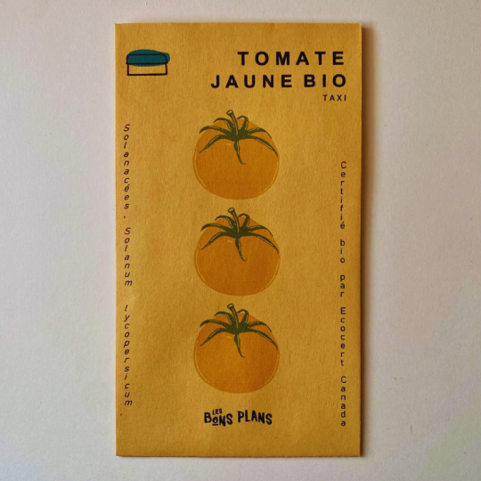 La ferme les Bons Plans suggère de faire pousser en plein soleil les semences de tomates jaunes TAXI biologiques