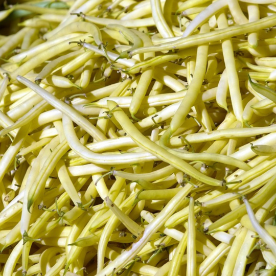 Les haricots jaunes biologiques de Merci la terre de Métabetchouan se marient parfaitement avec une belle noisette de beurre