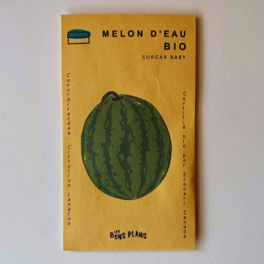 Eh oui, ca pousse ici! Les semences de melon SUGAR BABY biologiques de la ferme Les Bons Plans de Chambord