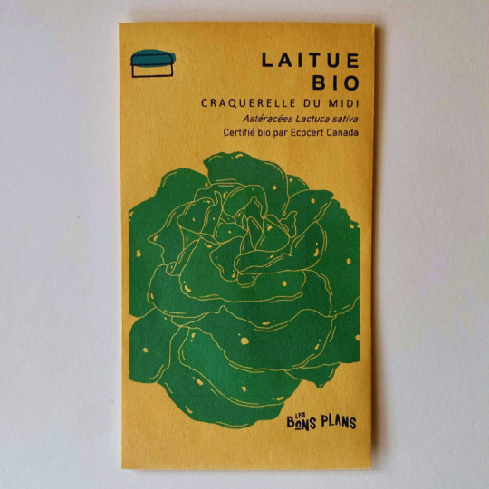 Les semences de laitue biologiques de type Craquerelle du Midi de la ferme les Bons Plans à Chambord est géniale en salade