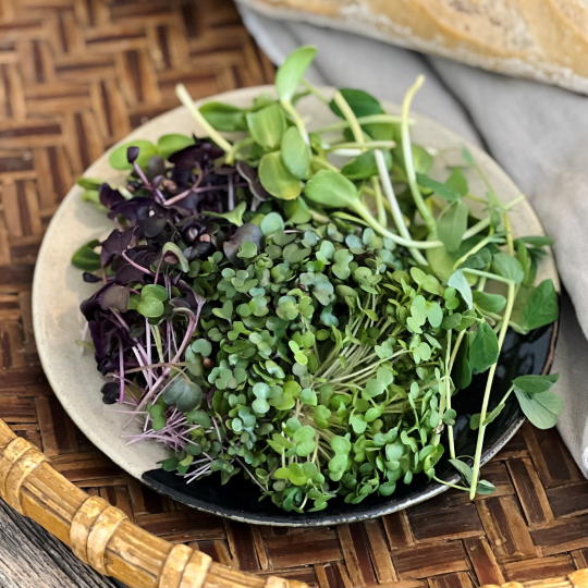 WOW! Quatre sortes de pousses biologiques en un paquet; Pousses égales de St-Fulgence nous offre ce beau cadeau