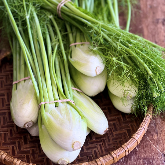 Merci la terre de Métabetchouan cultive de tout petits fenouils biologiques tellement savoureux, bons autant crus que cuits