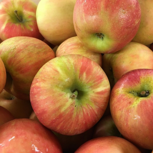 Pomme Honey Crisp