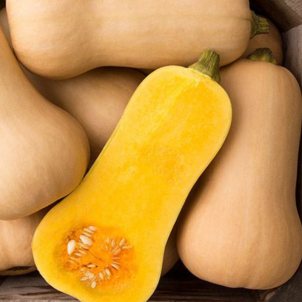 Courge butternut