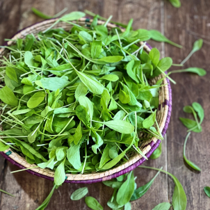 Les Jardins de Sophie de St-Fulgence utilise leur roquette biologique dans leur restaurant
