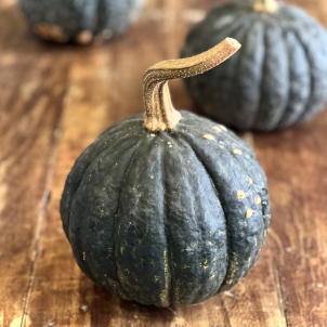 Courge tetsukabuto