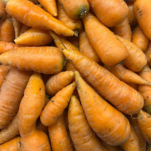 Carottes Chantenay