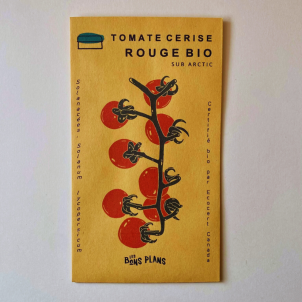Les semences tomates cerises SUB ARTIC biologiques de la ferme les Bons Plans poussent rapidement