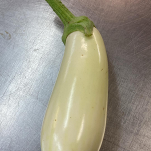 Les aubergines blanches bio sont une curiosité à essayer sans hésiter