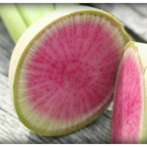 Les radis melon d'eau biologiques des Jardins Mistouk d'Alma sont parfait pour la décoration de votre assiette