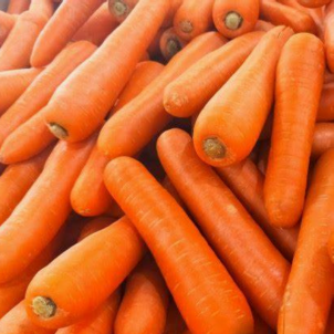 Carottes oranges