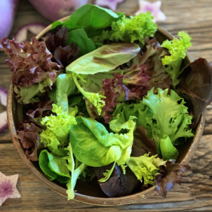 Qoui de mieux qu'un bon mesclun biologique pas trop amer, pas trop piquant,  les Jardins Mistouk d'Alma cultivent ce genre de mélange de verdure