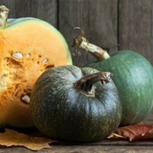 Courge buttercup bonbon