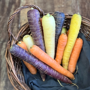 Carottes de couleurs