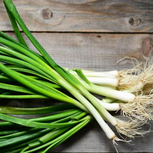 Les Jardins de Sophie de St-Fulgence cultivent beaucoup d'oignons verts biologiques parce qu'ils les cuisinent dans leur restaurant!