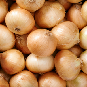 Oignons jaunes (petits)
