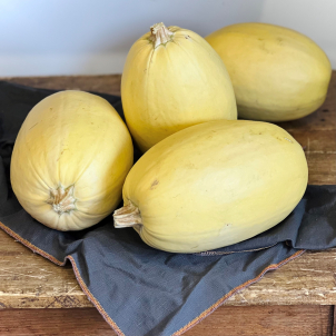 Courge à spaghetti