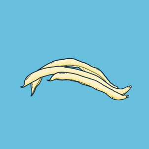 Les semences de haricots mange tout à rame NECKARGOLD biologiques des Bons Plans à Chambord sont prêtes à semer directement au jardin