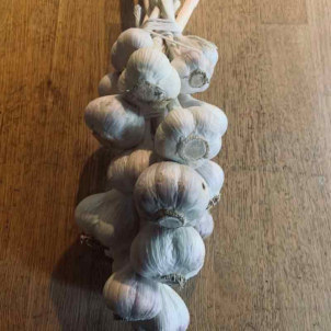 Ail Certifié biologique