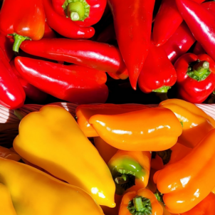 Poivrons de couleurs | CONGELÉS