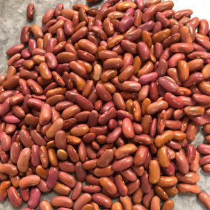 Haricots secs (Red Kidney)