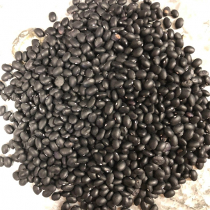 Haricots secs noirs (Éclipse)