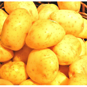 Pommes de terre blanches